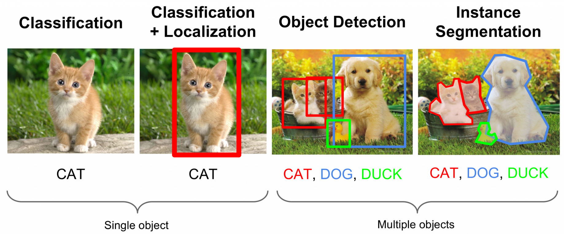 Object Detection