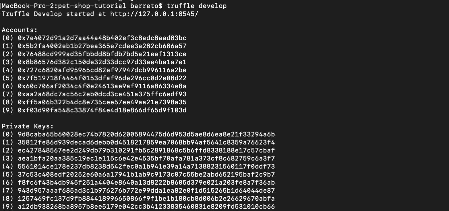 truffle develop terminal output